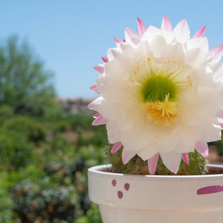 Casa Aromas - Casa Rural Exclusiva Cerca De La Playa - By Marina Alta Holidays 데니아 외부 사진